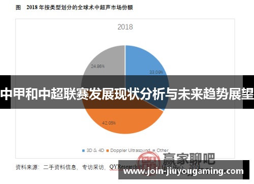 中甲和中超联赛发展现状分析与未来趋势展望