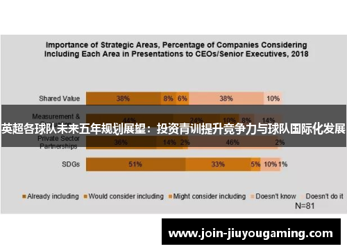 英超各球队未来五年规划展望：投资青训提升竞争力与球队国际化发展