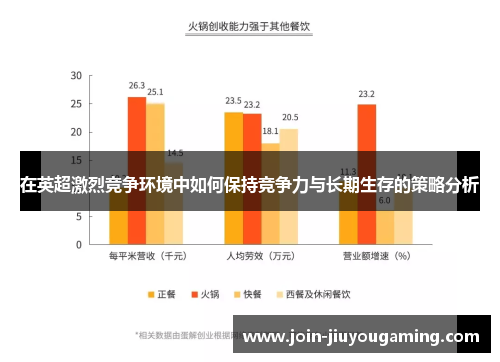 在英超激烈竞争环境中如何保持竞争力与长期生存的策略分析