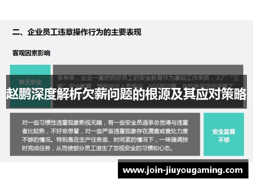 赵鹏深度解析欠薪问题的根源及其应对策略