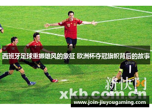 西班牙足球重振雄风的象征 欧洲杯夺冠旗帜背后的故事